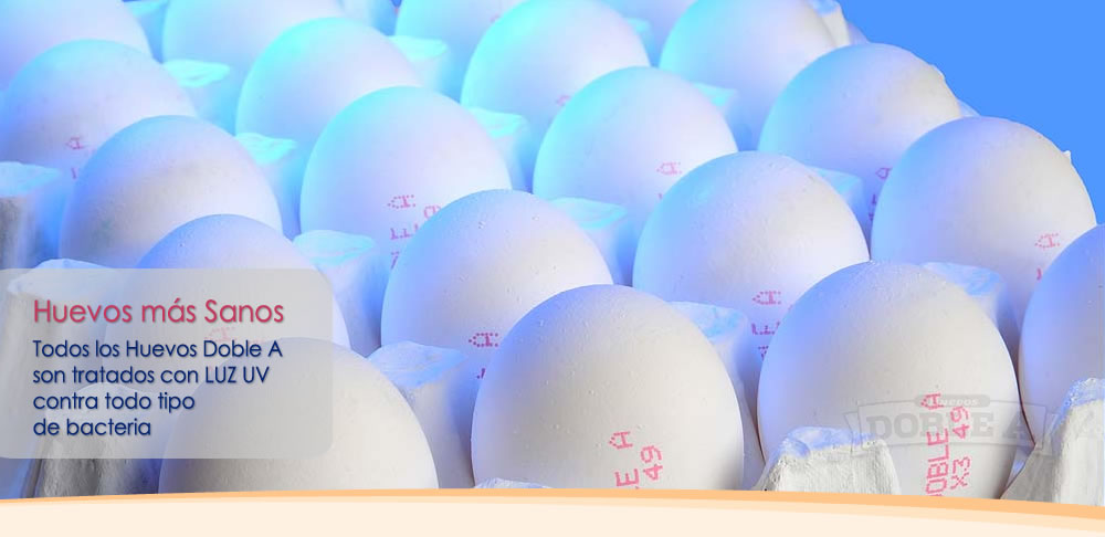 Huevos Doble A 00