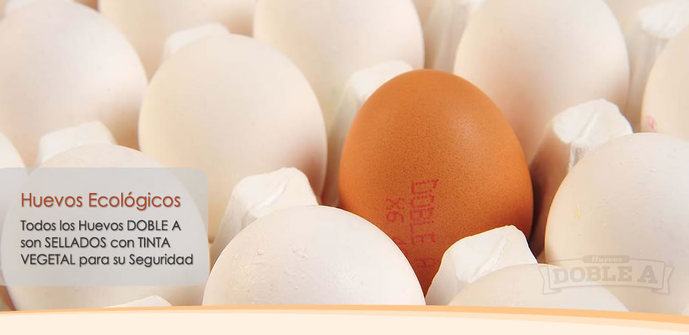 Huevos Doble A 00
